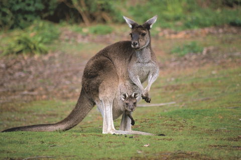 Donnelly River - E Caravan Parks 0