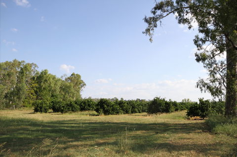 Dululu - E Caravan Parks 1