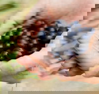 Eat Pick Grow Trail - Wanneroo and Chittering