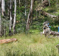 Federal Falls Walk - E Caravan Parks