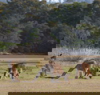 Great Nature Trail - E Caravan Parks