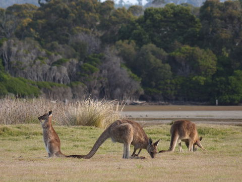 Great Nature Trail - E Caravan Parks 0