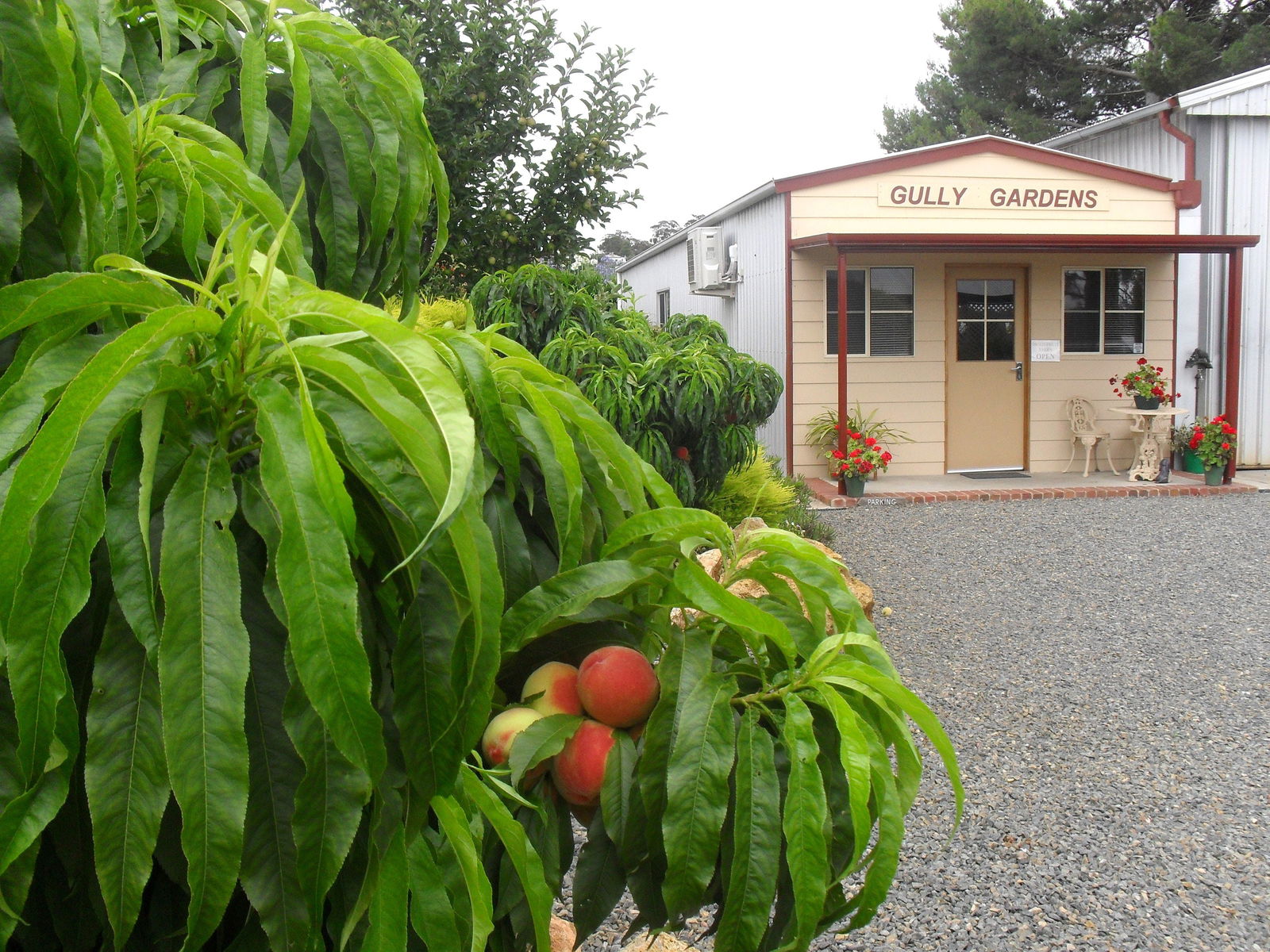 Angaston SA E Caravan Parks