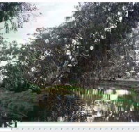 Henty Government Dam Nature Reserve - E Caravan Parks