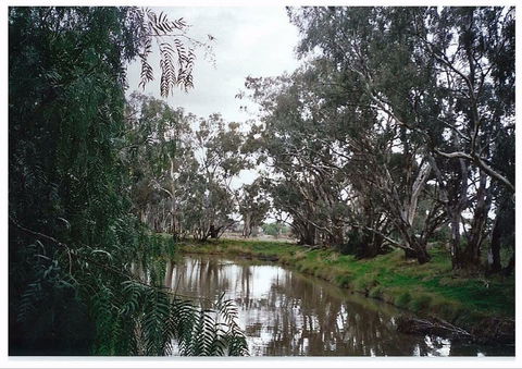 Henty Government Dam Nature Reserve - E Caravan Parks 0
