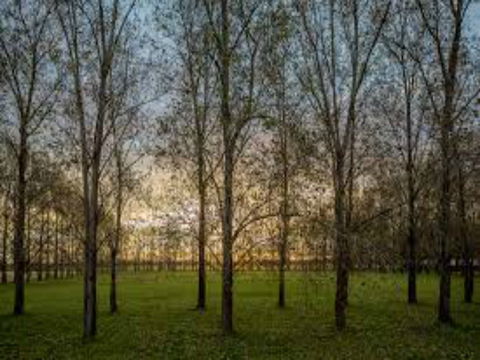 John Tucker Park - E Caravan Parks 1