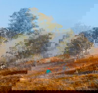 Kambah Pool to Pine Island Walking Trail - E Caravan Parks