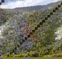 Kearneys Falls - E Caravan Parks