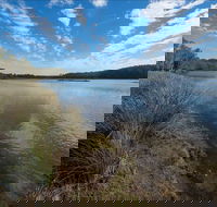 Lake Innes Nature Reserve - E Caravan Parks