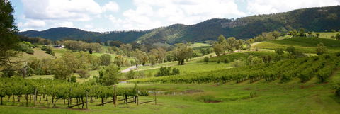 Mount View - E Caravan Parks 1