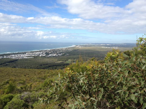 Mount Coolum National Park - E Caravan Parks 0
