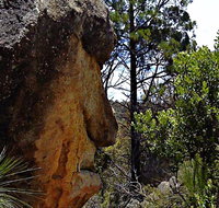 Mystery Face Walking Track