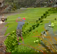 Pambula Merimbula Golf Club - E Caravan Parks