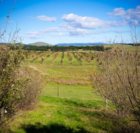 Tarago Truffles - E Caravan Parks