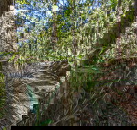 Thylogale Track - E Caravan Parks