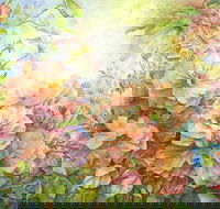 Barossa Chateau Artist in Residence - E Caravan Parks