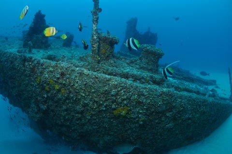 Curtin Artificial Reef Dive Site - E Caravan Parks 1