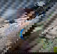 Delta Force Paintball - E Caravan Parks