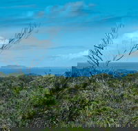 Forest Walking Track Crowdy Bay National Park - E Caravan Parks