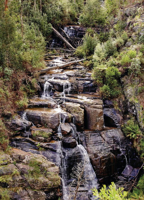 Kinglake National Park - E Caravan Parks 1