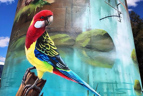 Lockhart Water Tower Mural - E Caravan Parks 1