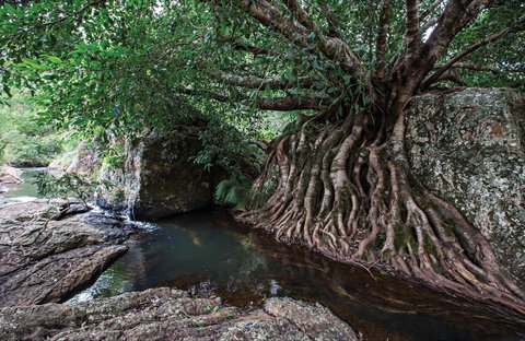 Misty Mountains Wilderness Tracks - E Caravan Parks 0