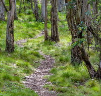 Mount Canobolas State Conservation Area - E Caravan Parks