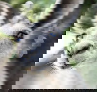 Mungallala - E Caravan Parks