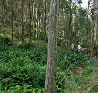 Nature Walking Track - E Caravan Parks