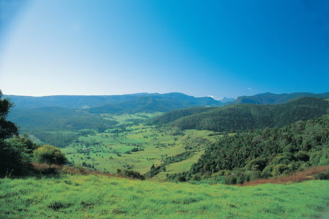Numinbah Section, Springbrook National Park - E Caravan Parks 0