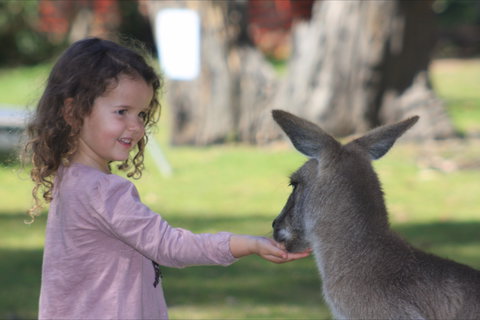 Potoroo Palace Native Animal Sanctuary - E Caravan Parks 1