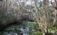The Briars Park Walking Trails - thumb 2