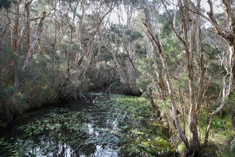 The Briars Park Walking Trails - E Caravan Parks 2