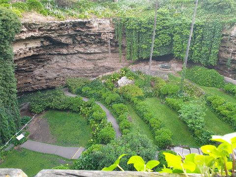 Umpherston Possum Tours - E Caravan Parks 2