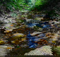 Willi Willi National Park - E Caravan Parks