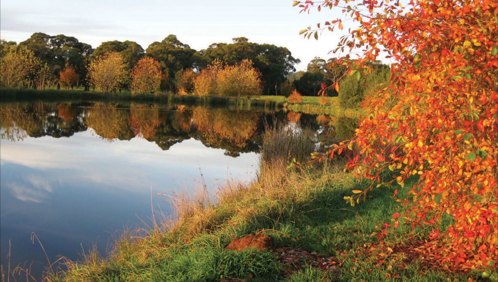 Alpine NSW E Caravan Parks