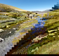 Australian Alps Walking Track - E Caravan Parks