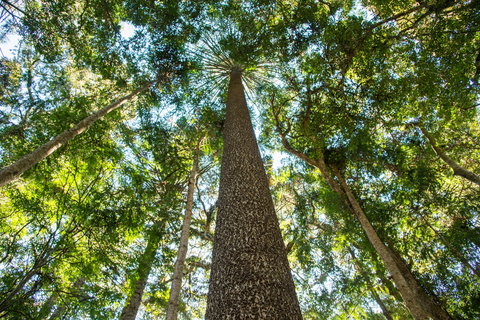 Big Sky National Parks - E Caravan Parks 0