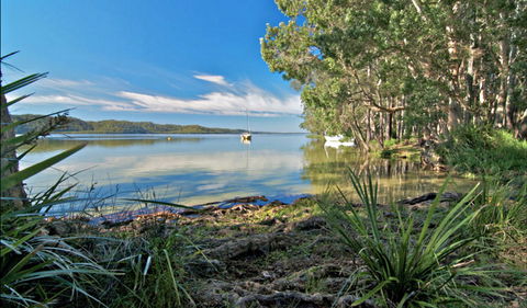 Black Oaks Picnic Area - E Caravan Parks 0