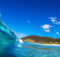 Blueys Beach Pacific Palms