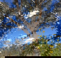 Euroa Arboretum - E Caravan Parks