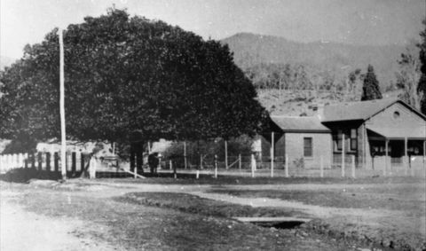Jamieson Museum - E Caravan Parks 0
