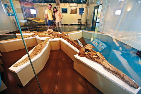 Kronosaurus Korner - E Caravan Parks 1