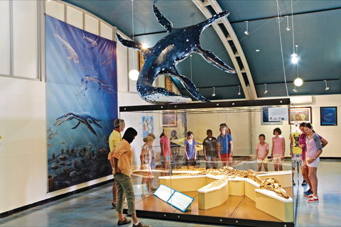 Kronosaurus Korner - E Caravan Parks 2