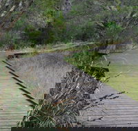 Leschenault Peninsula Conservation Park - E Caravan Parks