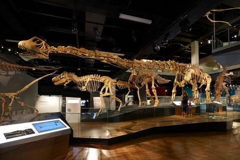 Melbourne Museum - E Caravan Parks 1