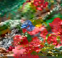 Mount Surprise - E Caravan Parks