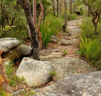 Mount Olive Trail
