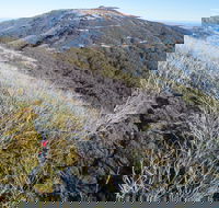 Mt Buller Bike Park - E Caravan Parks