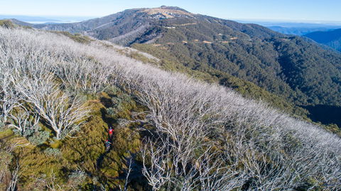 Mt Buller Bike Park - E Caravan Parks 0
